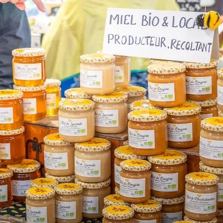 Renting - Massena - Loft - Heart Of Vieil - The Market With Sea View * Antibes